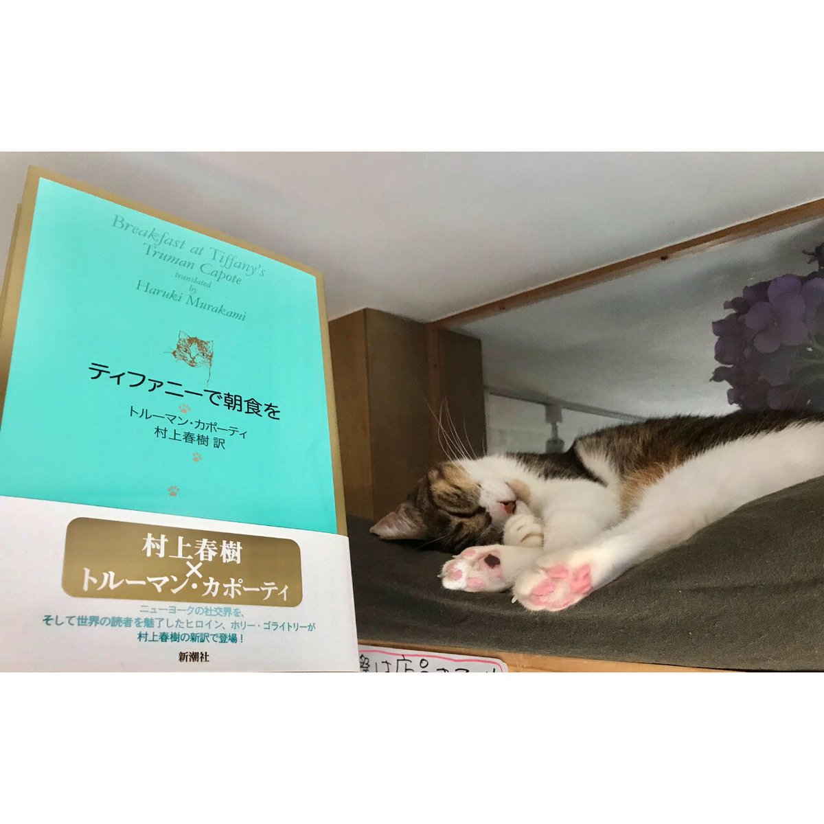 ティファニーで朝食を（単行本） | Cat's Meow Books Virtual Shop β