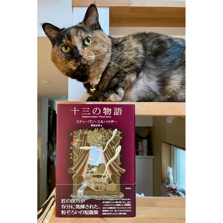 Cat's Meow Books Virtual Shop β