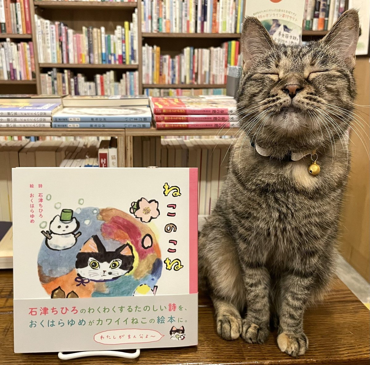 ねこのこね | Cat's Meow Books Virtual Shop β