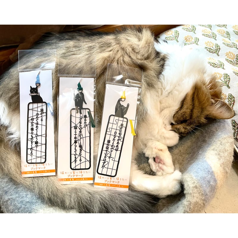 家具 猫の家 ステンレス