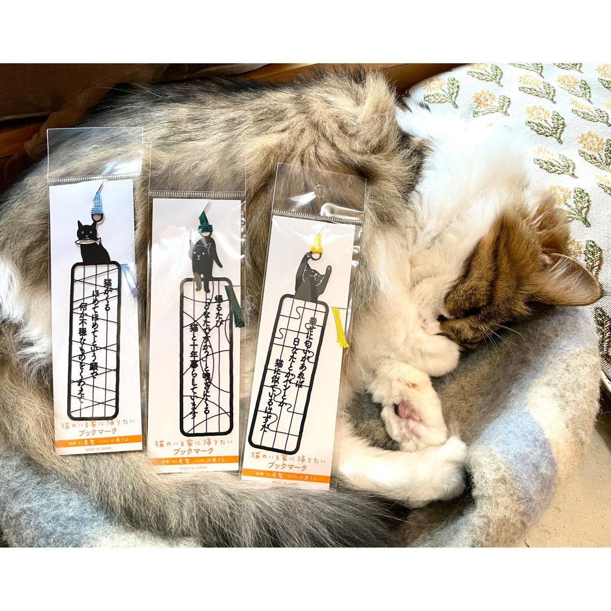 猫のいる家に帰りたい ステンレス製ブックマーク（全3種） | Cat's