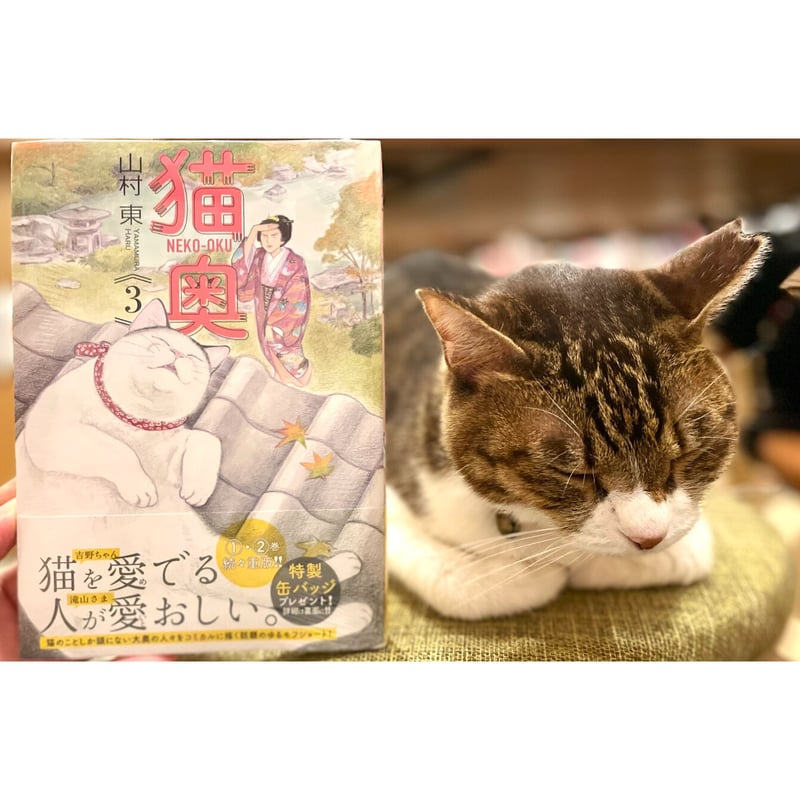 猫奥（1～12巻） | Cat's Meow Books Virtual Shop β
