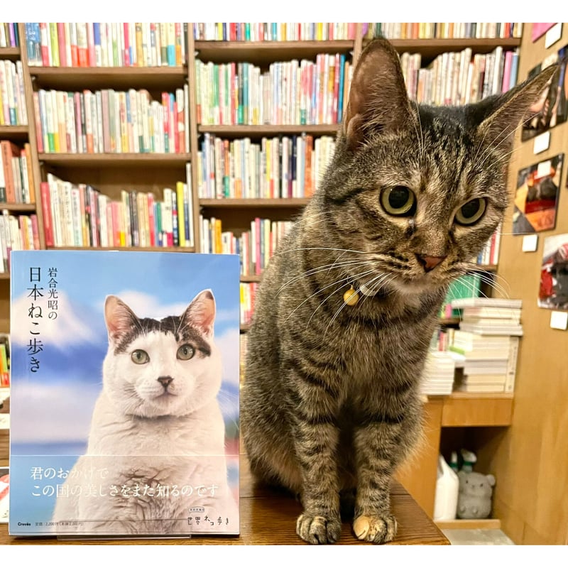 岩合光昭の日本ねこ歩き | Cat's Meow Books Virtual Shop β
