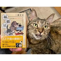 山口マオ作品集 | Cat's Meow Books Virtual Shop β