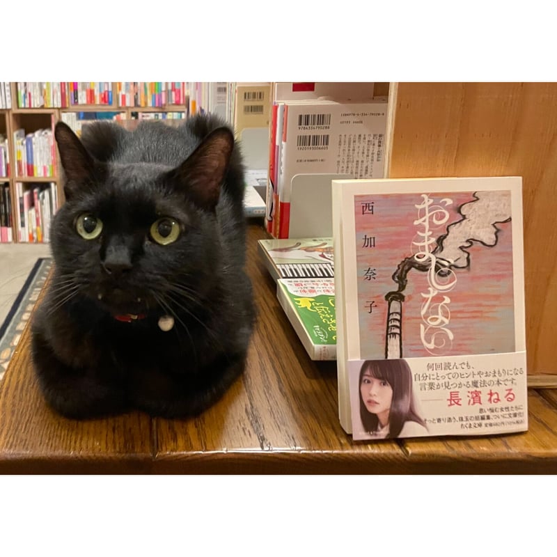 おまじない（文庫） | Cat 