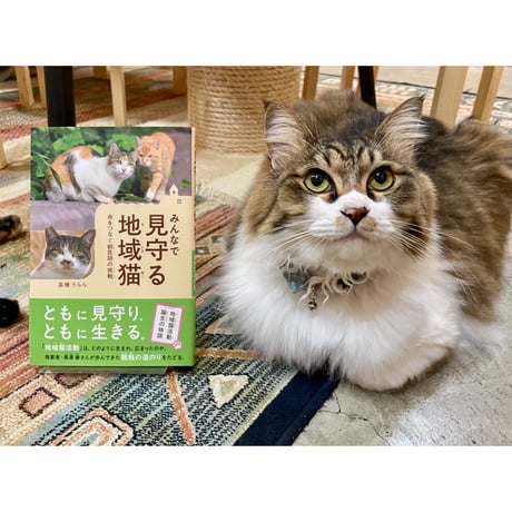みゃうさん専用 11本 Cat's Meow Books Virtual Shop β