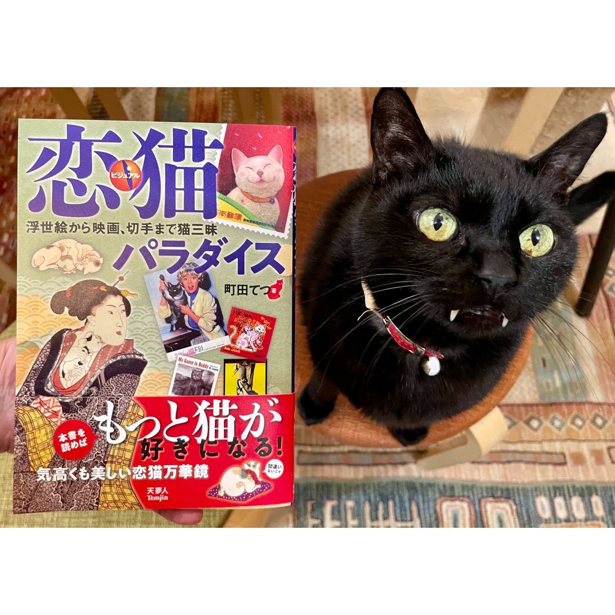 恋猫 恋猫パラダイス 浮世絵から映画、切手まで猫三味 | Cat's Meow Books Virt...