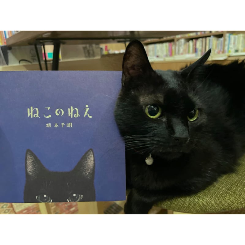 のりねこ様 お直し ニャンパッチ・小