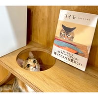 同一性と個体 種別概念に基づく統一理論に向けて | Cat's Meow Books