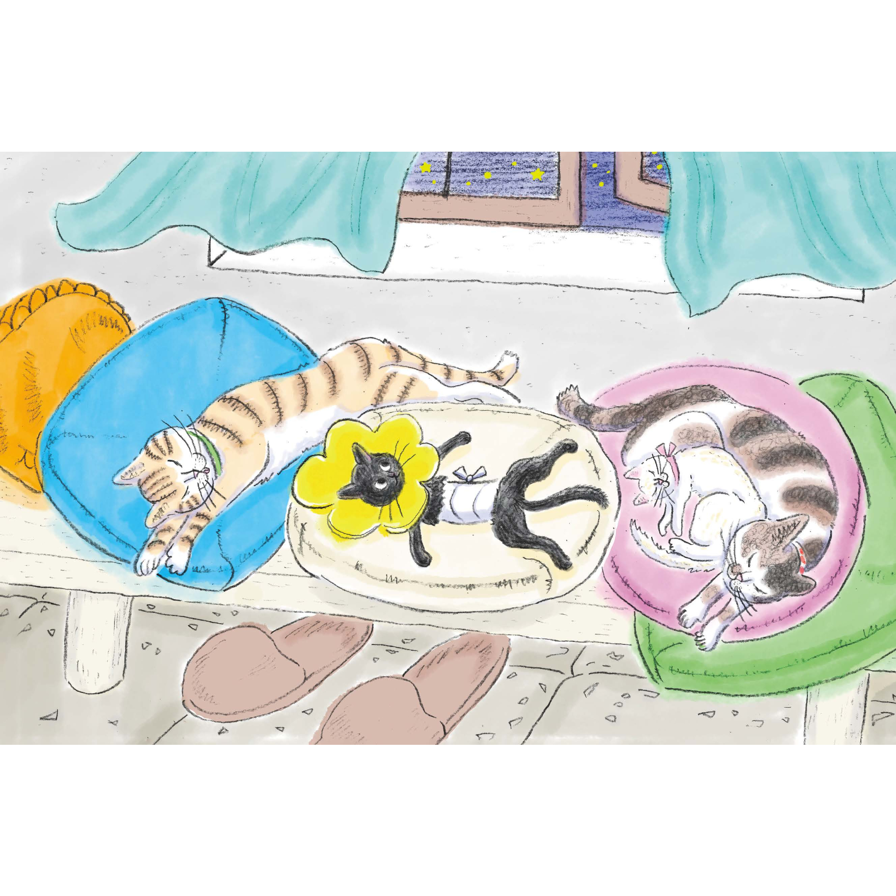 特典ポスカ付き】スターニャン ほしねこ くろの おはなし | Cat's Meow
