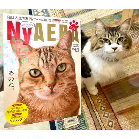 NyAERA 2025