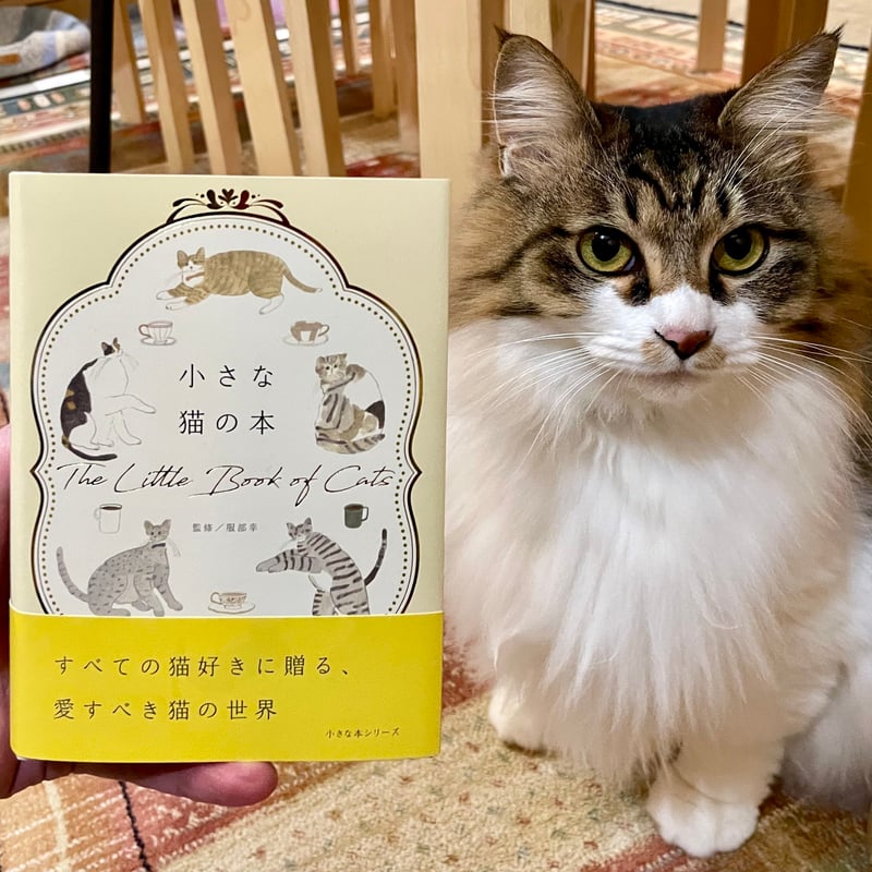 国内人気作家様、小さな猫 国内人気作家様、小さな猫