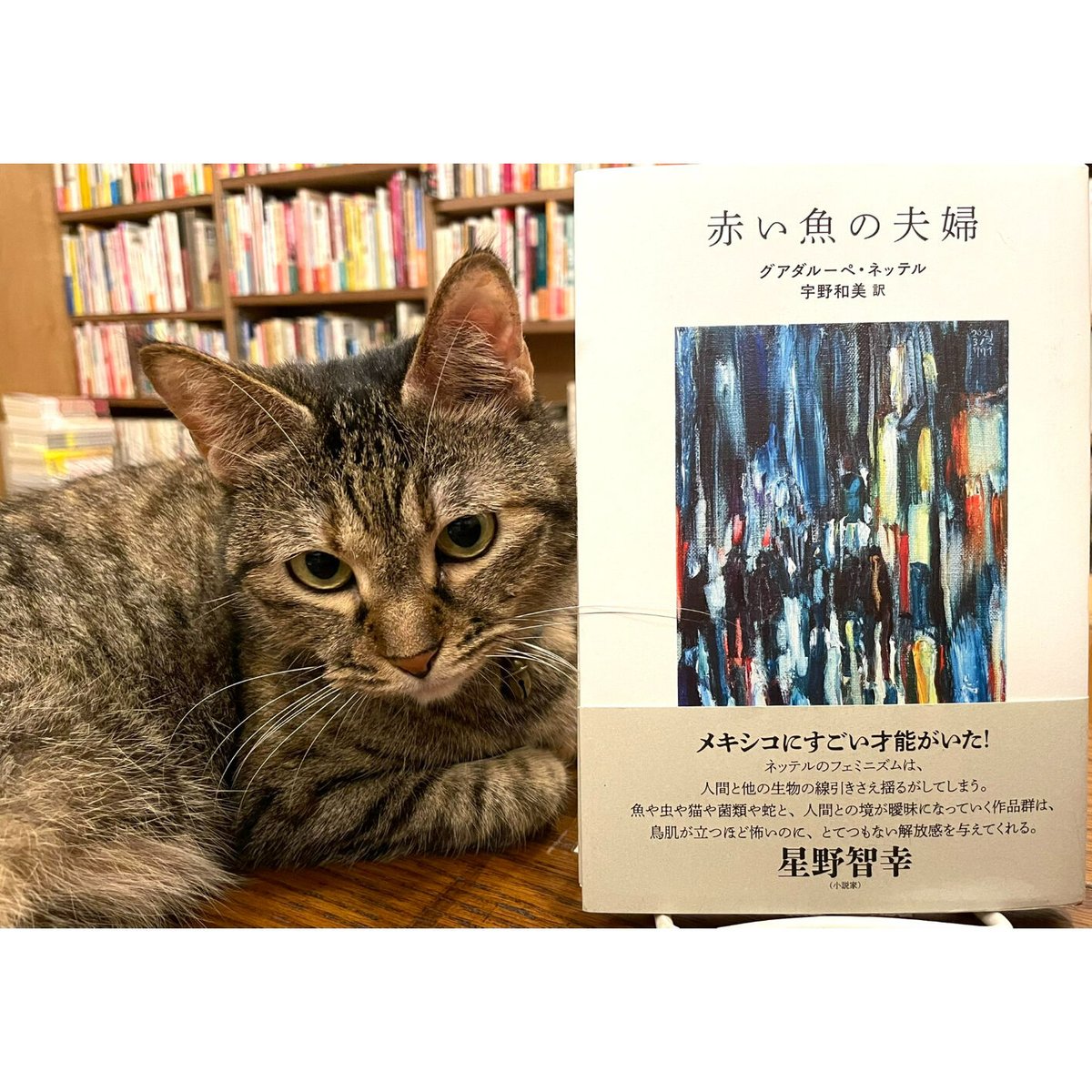 滅多に出ない稀覯本!】1935年刊 オウィディウス 著 A.E. 滅多に出ない稀覯本!】1935年刊 オウィディウス 著 A.E.