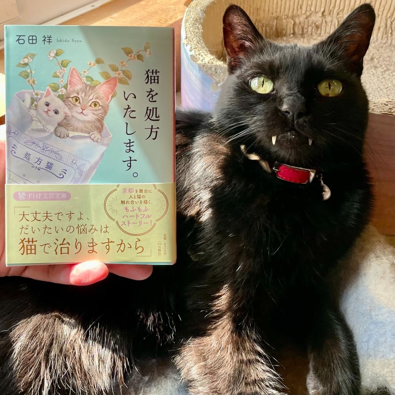 猫を処方いたします。 | Cat's Meow Books Virtual Shop β