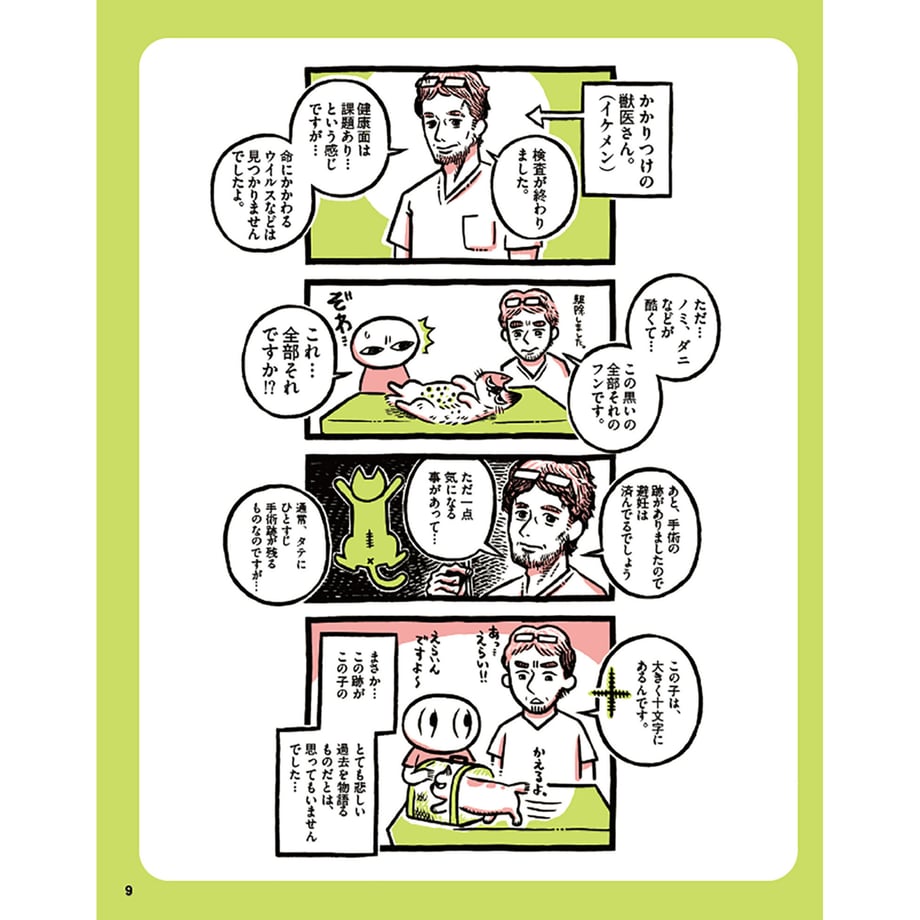 6252a36d719e8e1e1ab84249