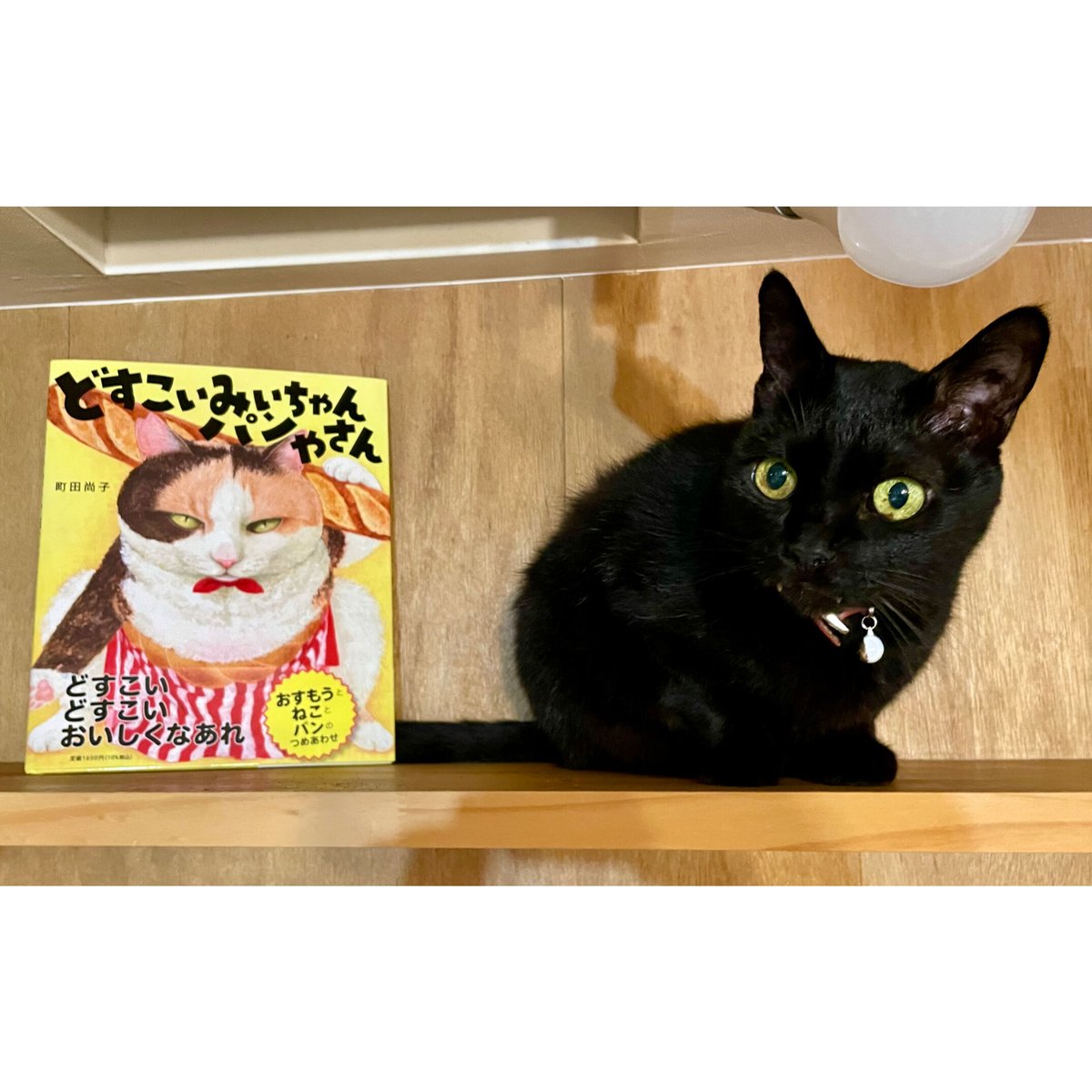 やずや - 今ちゃん Gp63sgmawAAmYr9.jpg:large
