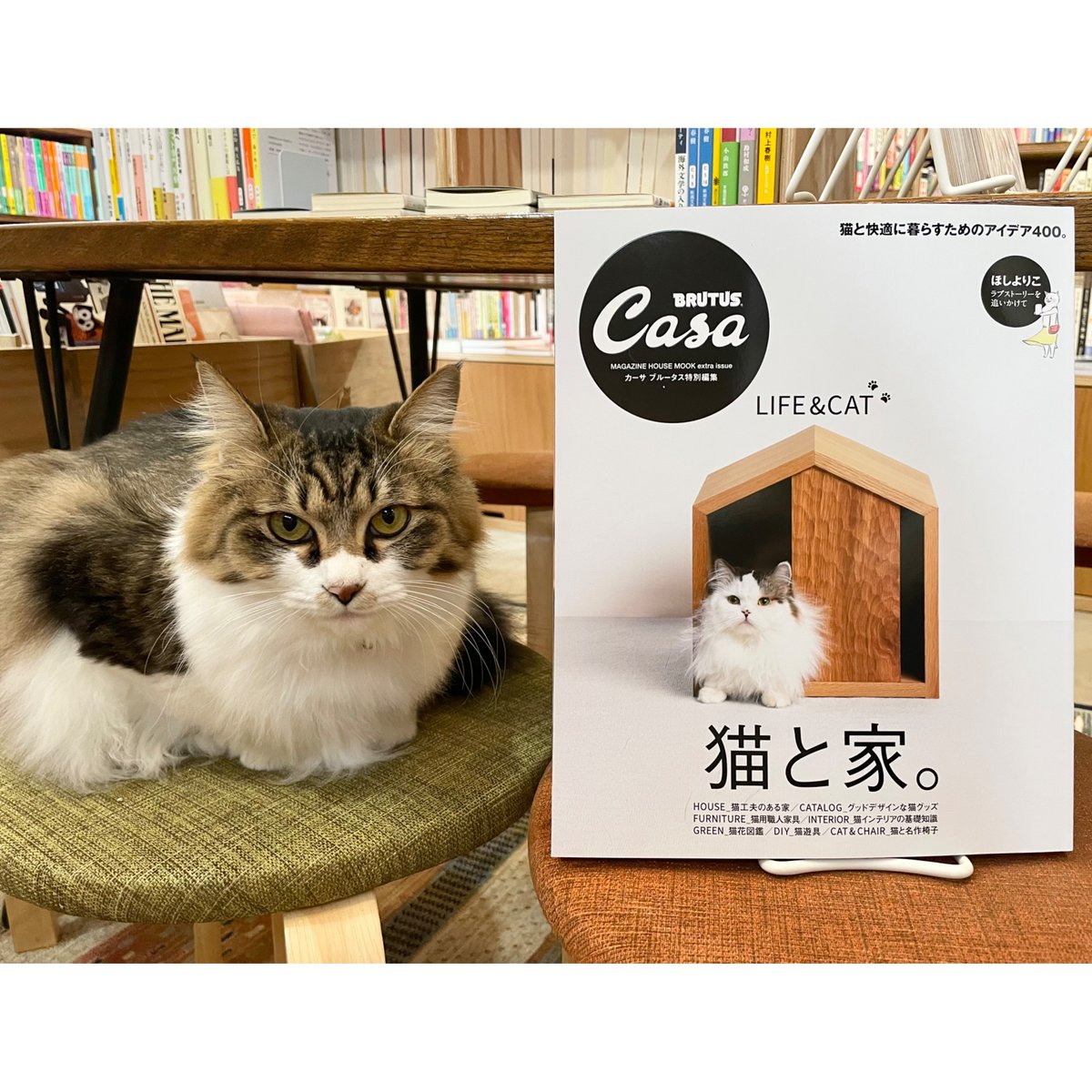 マガジンハウス - ねこありさま専用 Amazon.co.jp: Casa BRUTUS特別編集 猫と家。 (MAGAZINE HOUSE