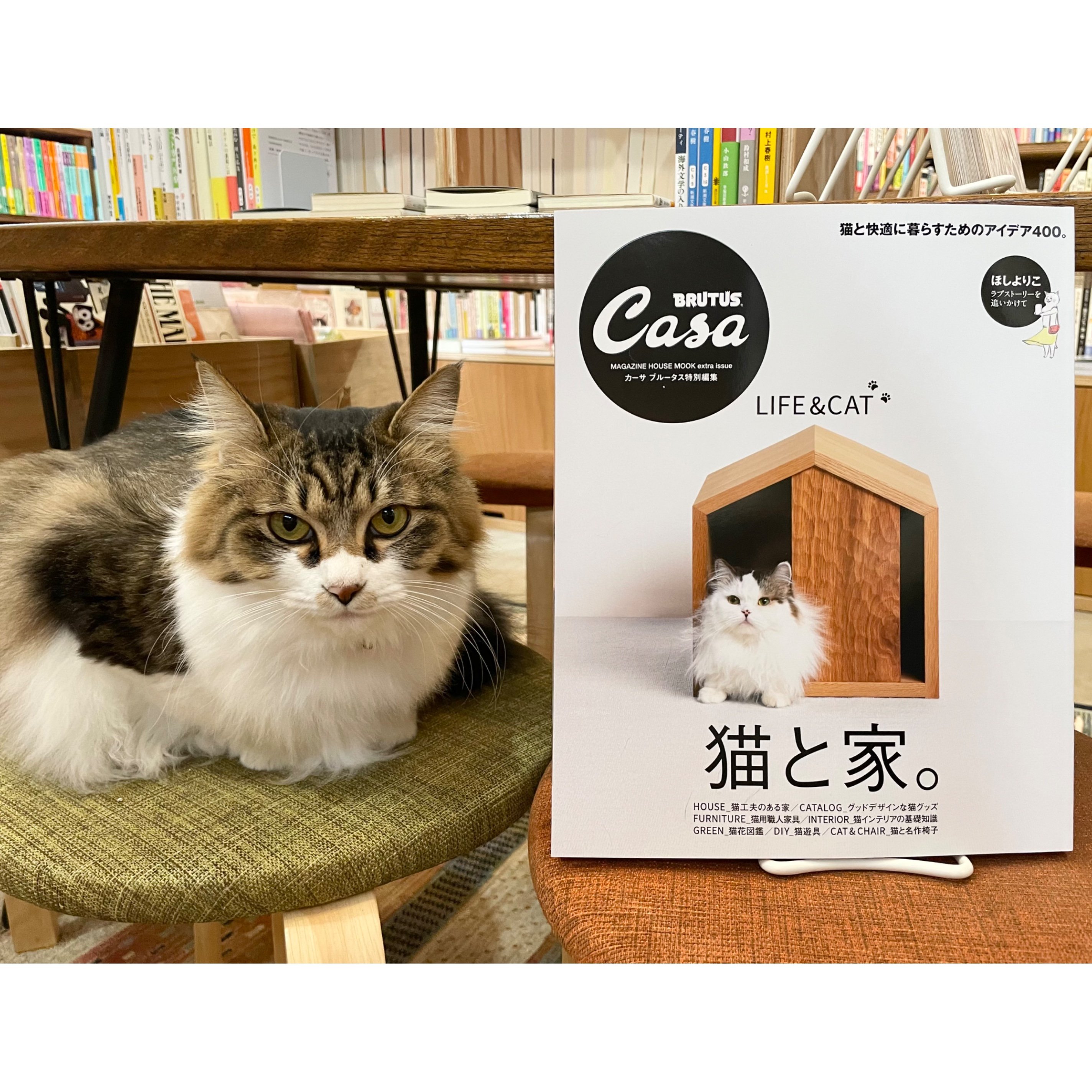 帯付】LD 星猫フルハウス LD全集 m690-0019-15 テニスの王子様 アート