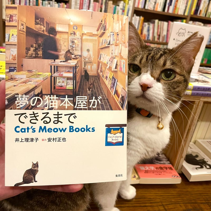 MAX MEOW! シリーズ全5冊セット 収納ケース クローゼット 引き出し ロングチェスト ホワイト／クリア