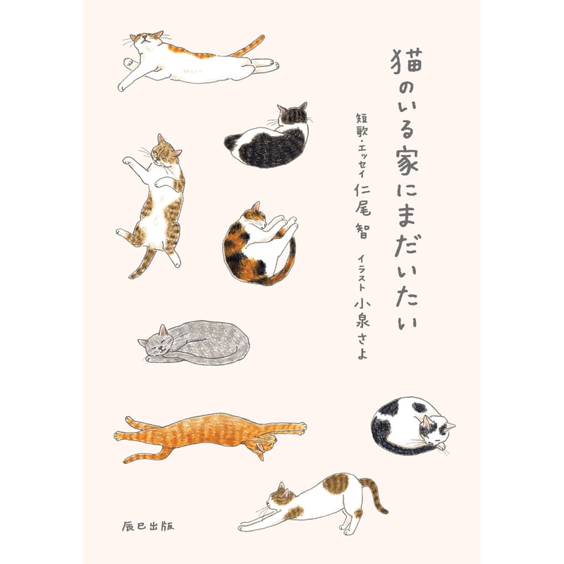 直筆サイン入り／特装版・通常版】猫のいる家にまだいたい | Cat's
