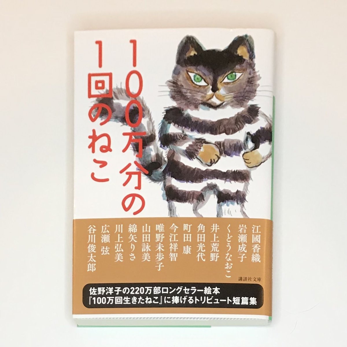 多分これから愛の日々(上) 作者直筆 サイン入り サイン本 - その他