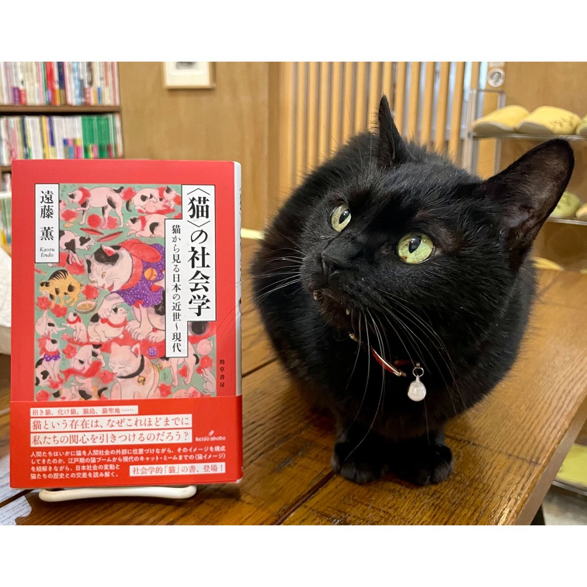 Books　猫から見る日本の近世～現代　猫〉の社会学　Meow　Cat's　Virtua...