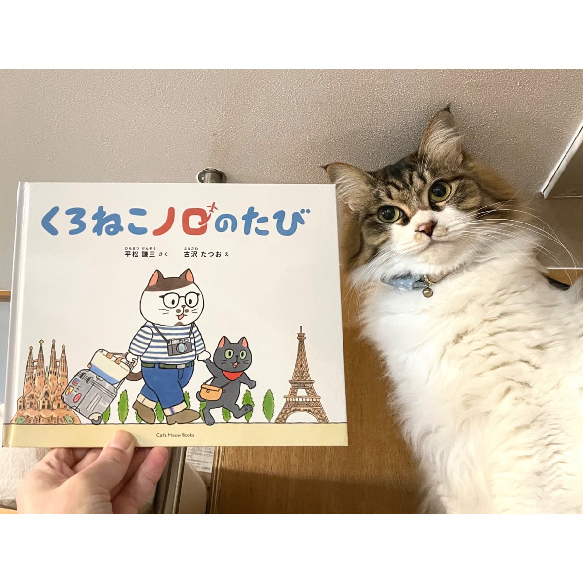 _.loupiotte._ ぐりっこサイズ　トイピアノ　猫のクロモス付き 例年大好評！ アニマルラインの人気商品「ねこみみニット」が
