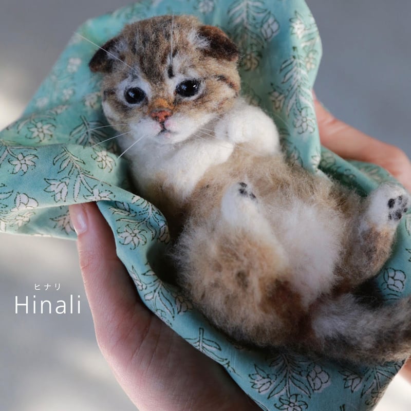 一緒にいたい！ 羊毛フェルトのちび猫づくり | Cat's Meow Books Virtua