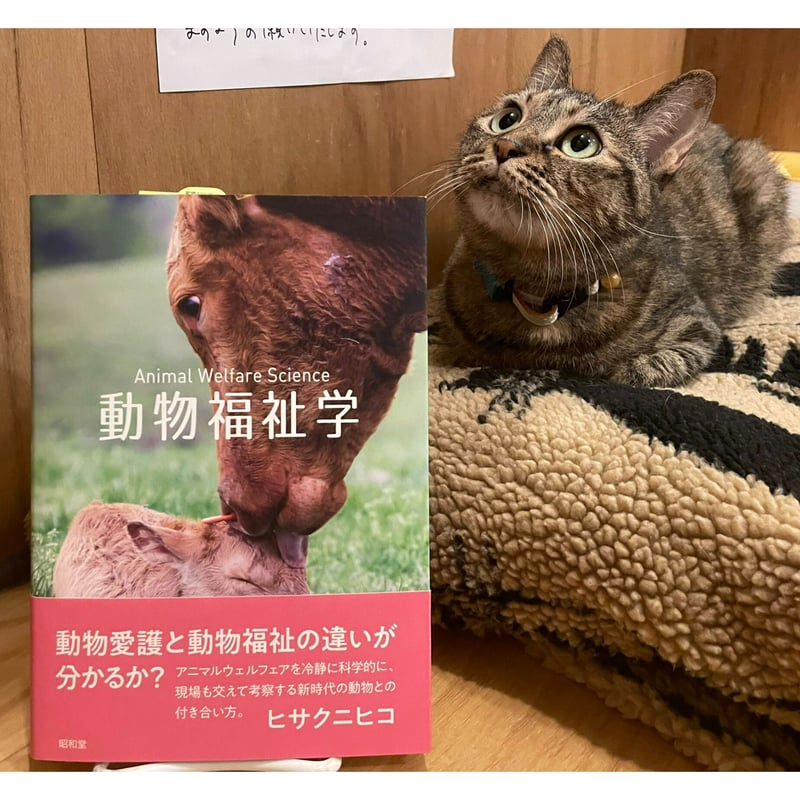 動物福祉学 | Cat's Meow Books Virtual Shop β