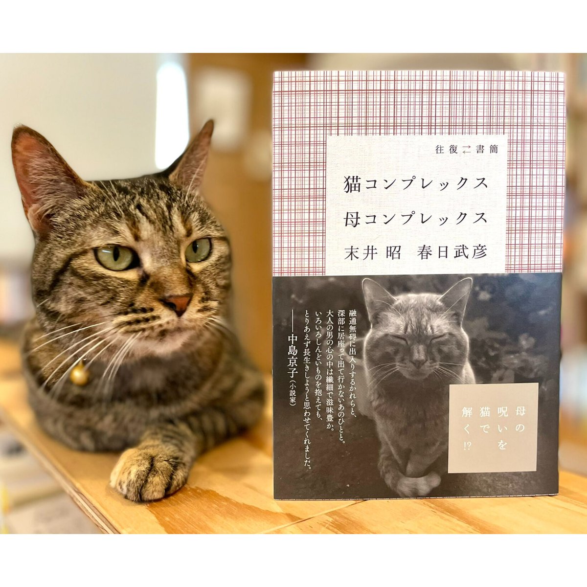 Shop　Meow　Cat's　猫コンプレックス母コンプレックス　β　Books　Virtual