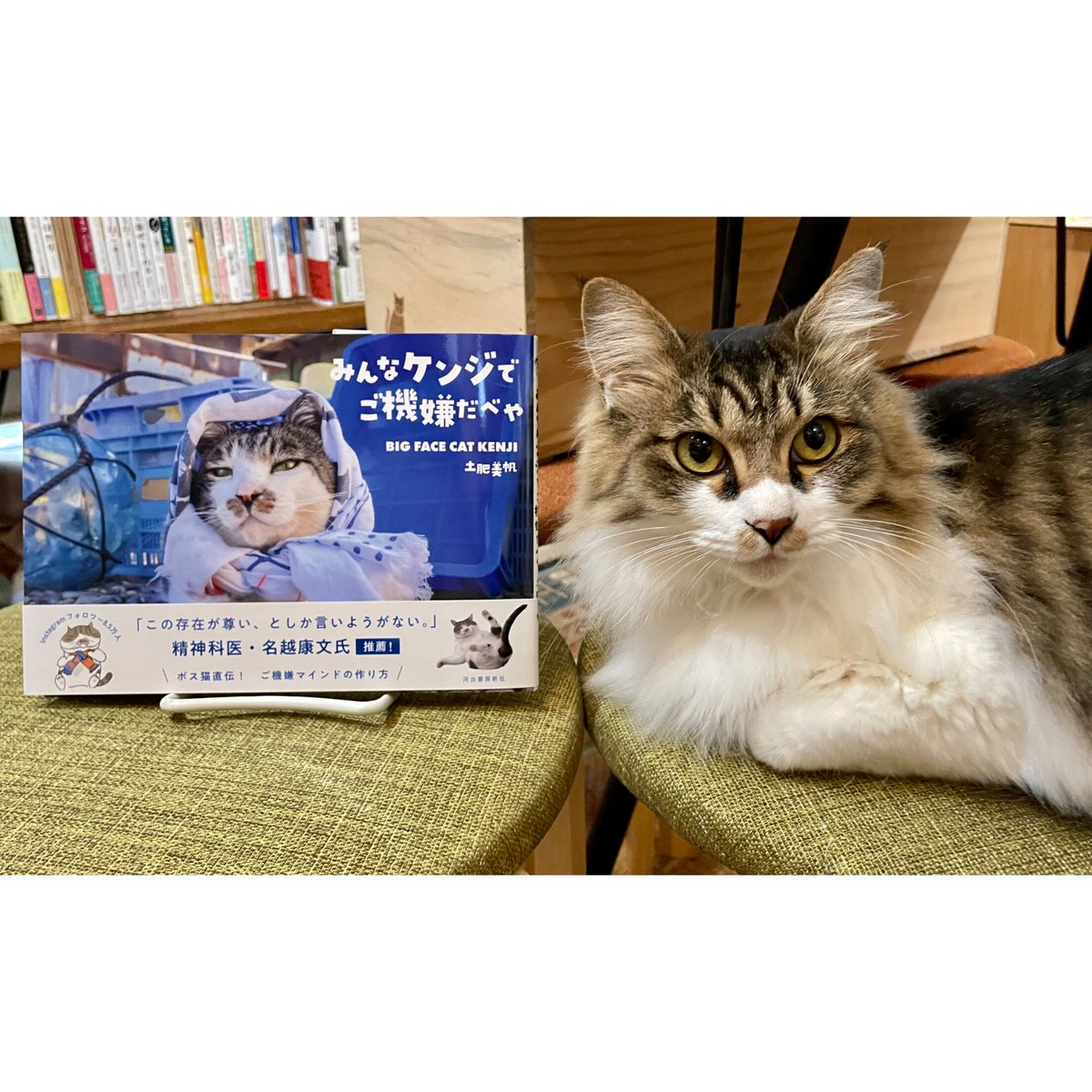 みんなケンジでご機嫌だべや | Cat's Meow Books Virtual Shop β