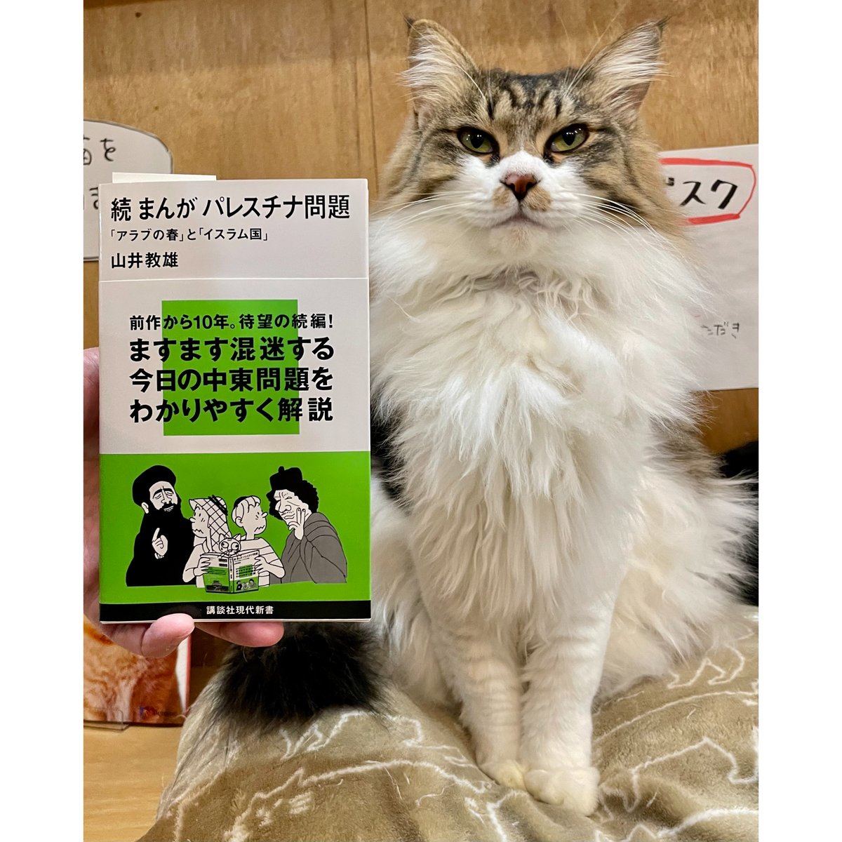 続 まんが パレスチナ問題　「アラブの春」と「イスラム国」