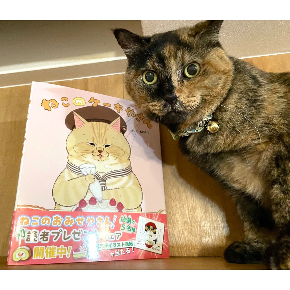 ねこのケーキやさん | Cat's Meow Books Virtual Shop β