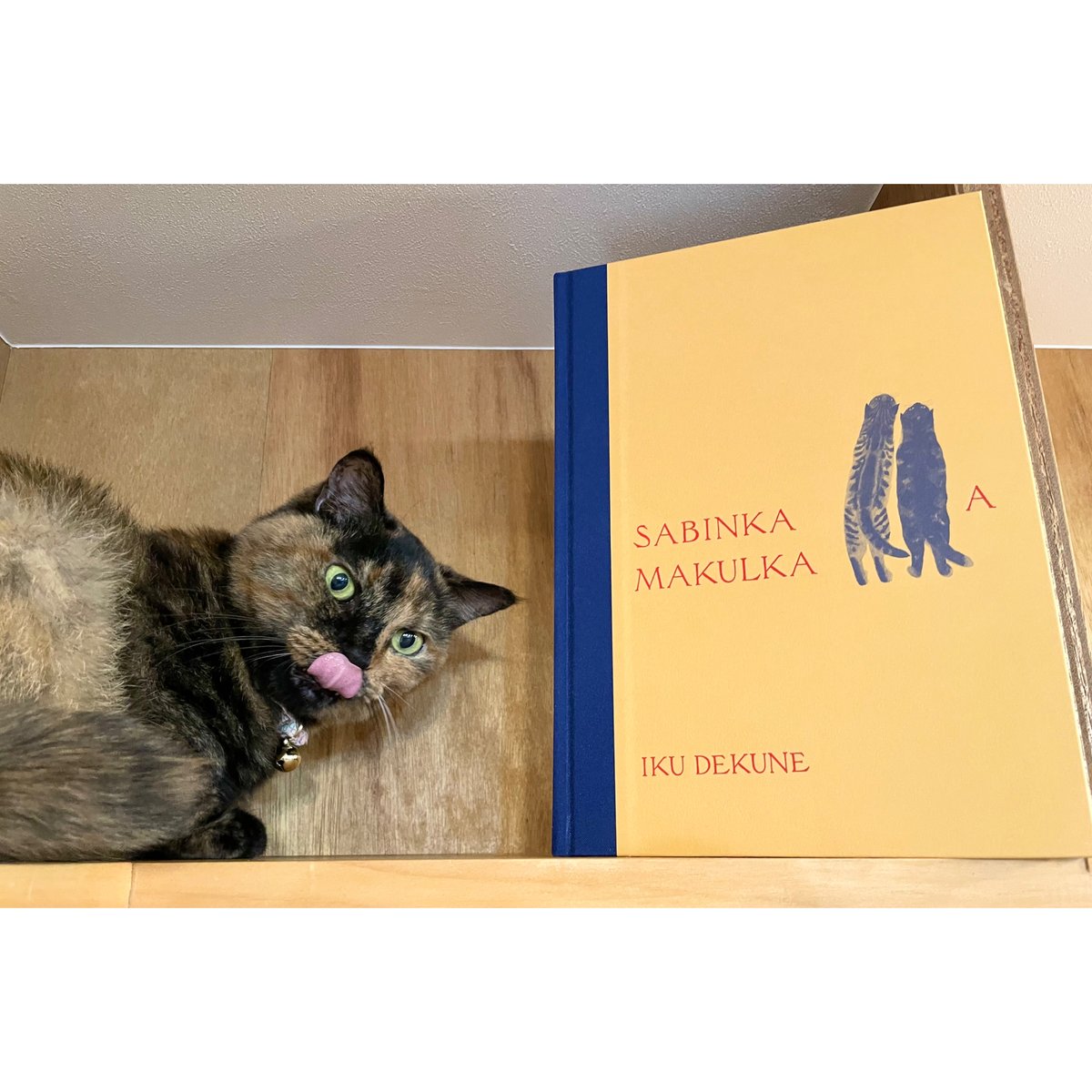 出久根育作品集”SABINKA A MAKULKA” | Cat's Meow Books V