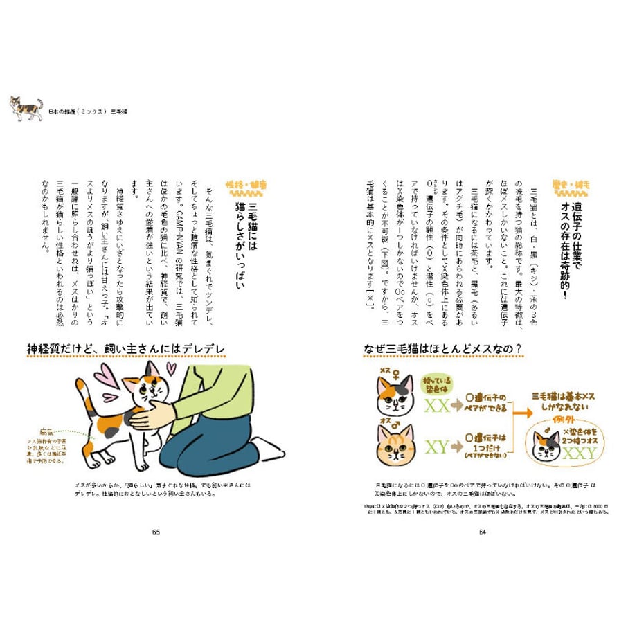 63e06e8d97c24535bbbf2cb3