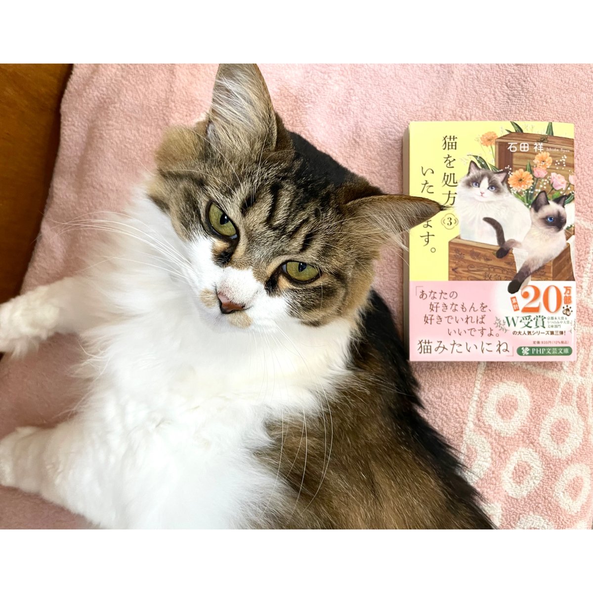 猫を処方いたします。（1～5巻） | Cat