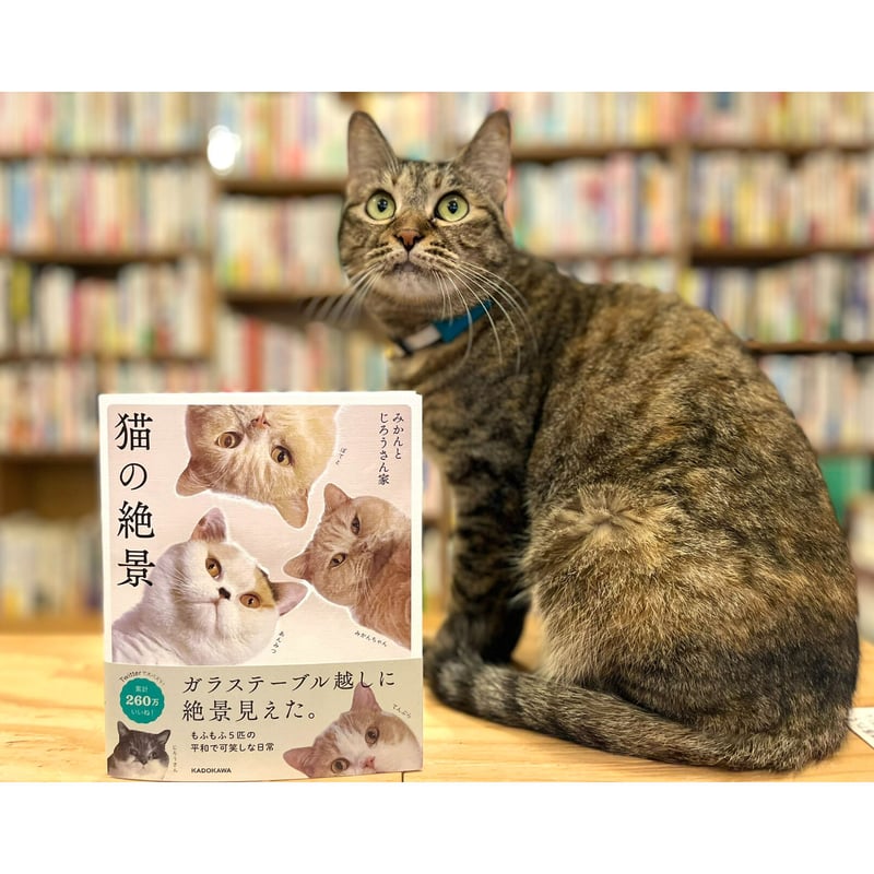 猫の絶景 | Cat's Meow Books Virtual Shop β