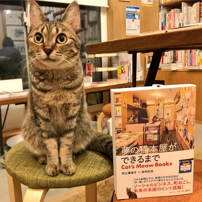 MAX MEOW! シリーズ全5冊セット 夢の猫本屋ができるまで Cat's Meow Books | Cat's Meow Books