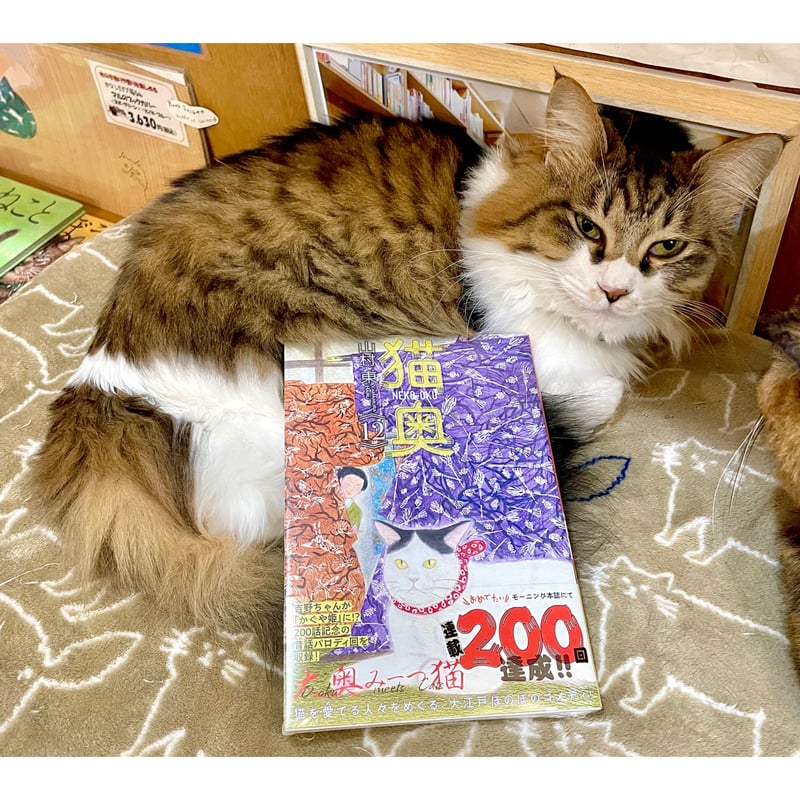 猫奥（1～12巻） | Cat's Meow Books Virtual Shop β