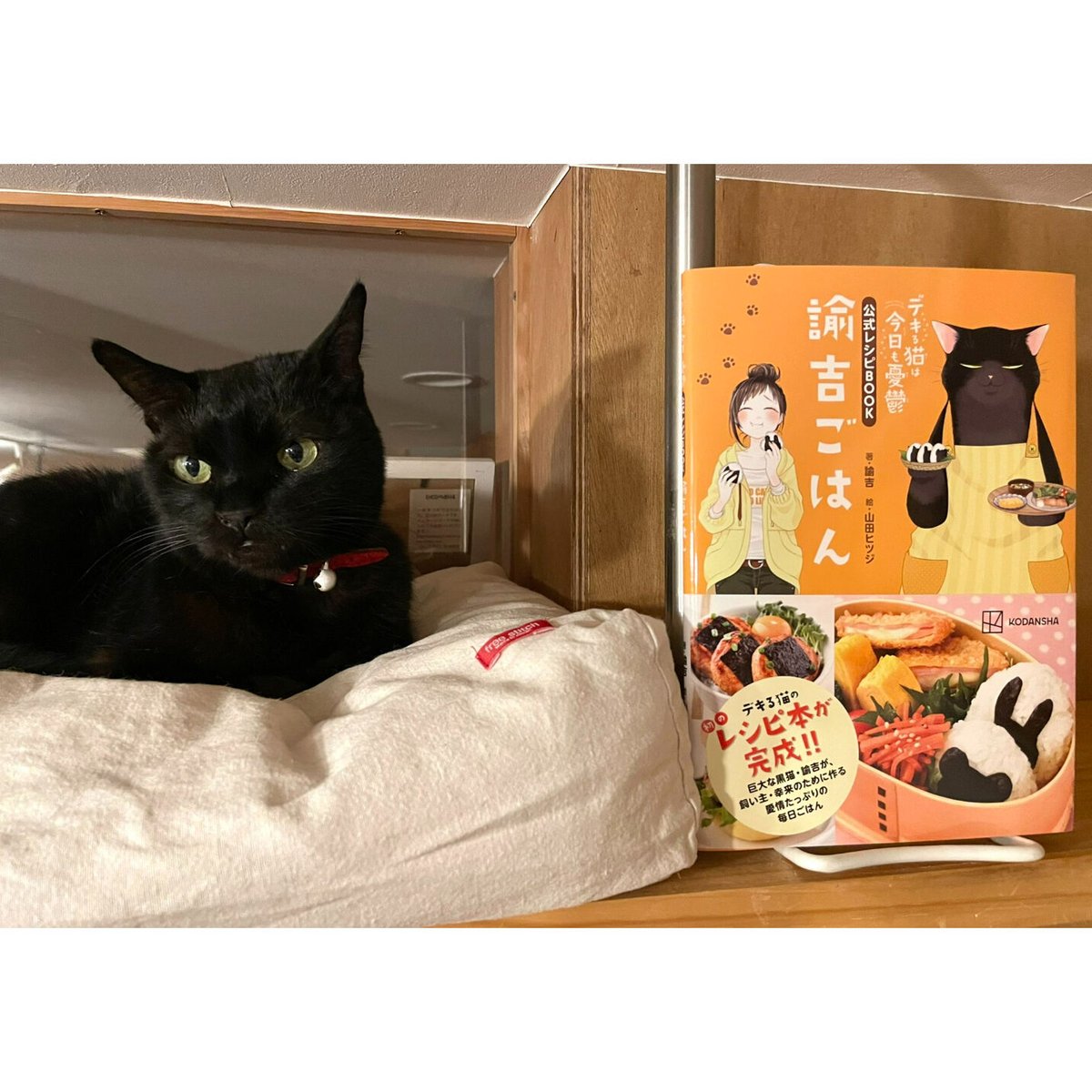 デキる猫は今日も憂鬱　1巻から9巻セット➕諭吉ごはん デキる猫は今日も憂鬱 全巻セット（1-11巻 最新刊） | 八文字屋