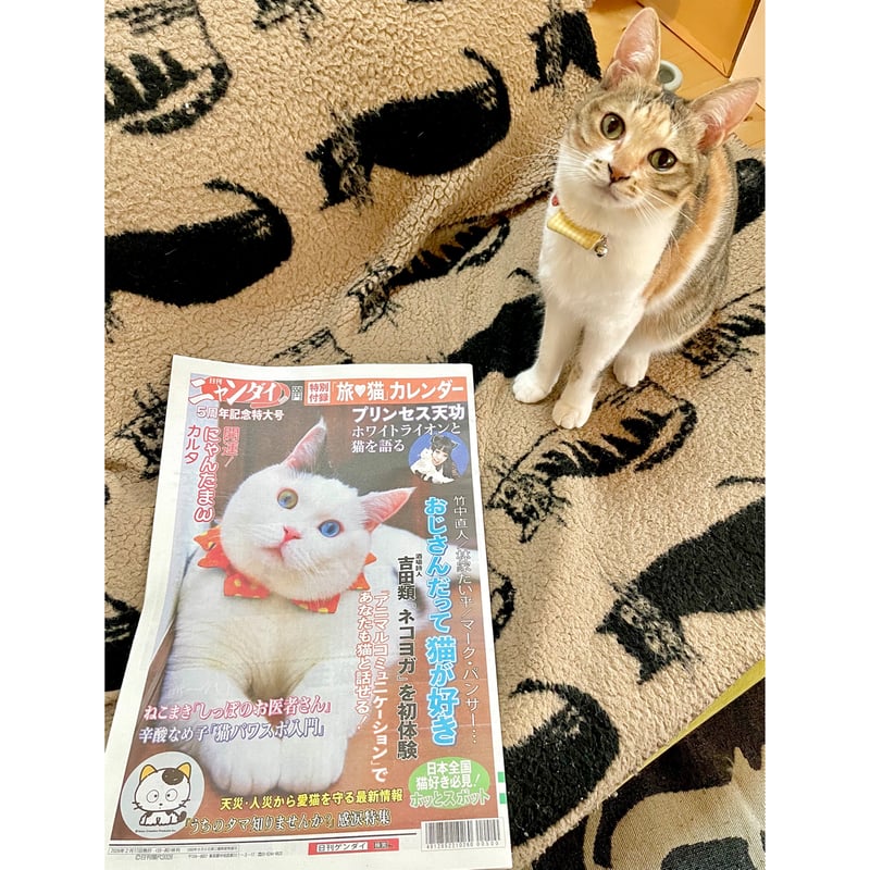 日刊ニャンダイ（2026年版） | Cat's Meow Books Virtual Shop β