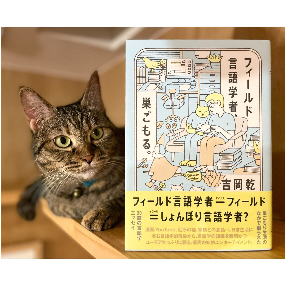 Meow　Books　Virtual　フィールド言語学者、巣ごもる。　β　Cat's　Shop