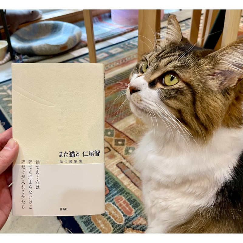 直筆サイン入り】また猫と 猫の挽歌集 | Cat's Meow Books