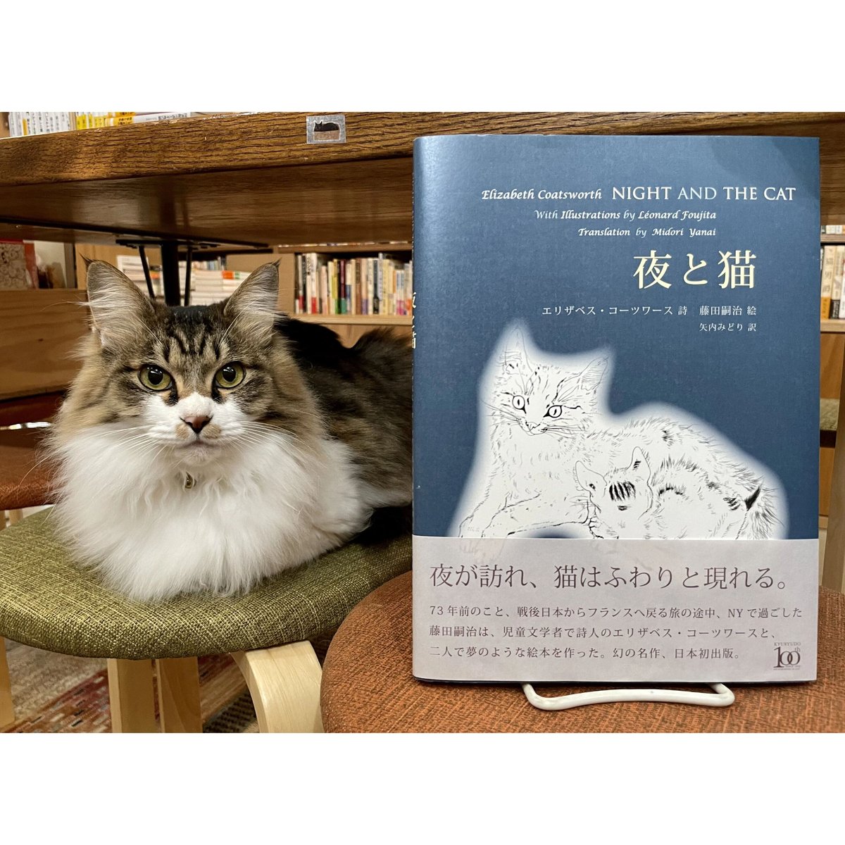 夜と猫 | Cat's Meow Books Virtual Shop β