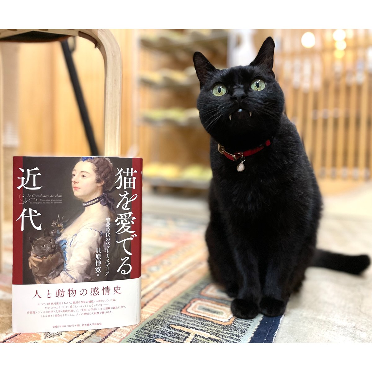 猫を愛でる近代 猫を愛でる近代 « 名古屋大学出版会
