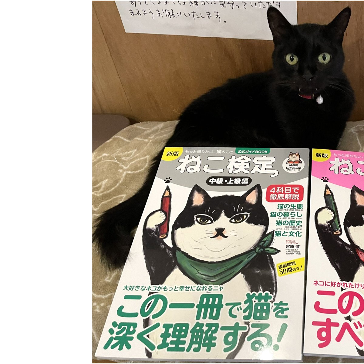 特製ふせん付き】ねこ検定 公式ガイドBOOK 中級・上級編 新版 | Cat's 