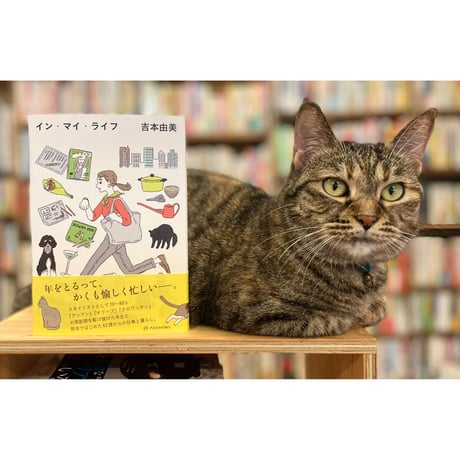 【a2o】3Dバブルパンツ　完売品　あおばくん着用 a2o】3Dバブルパンツ（その他パンツ）｜a2o（エーツーオー）の