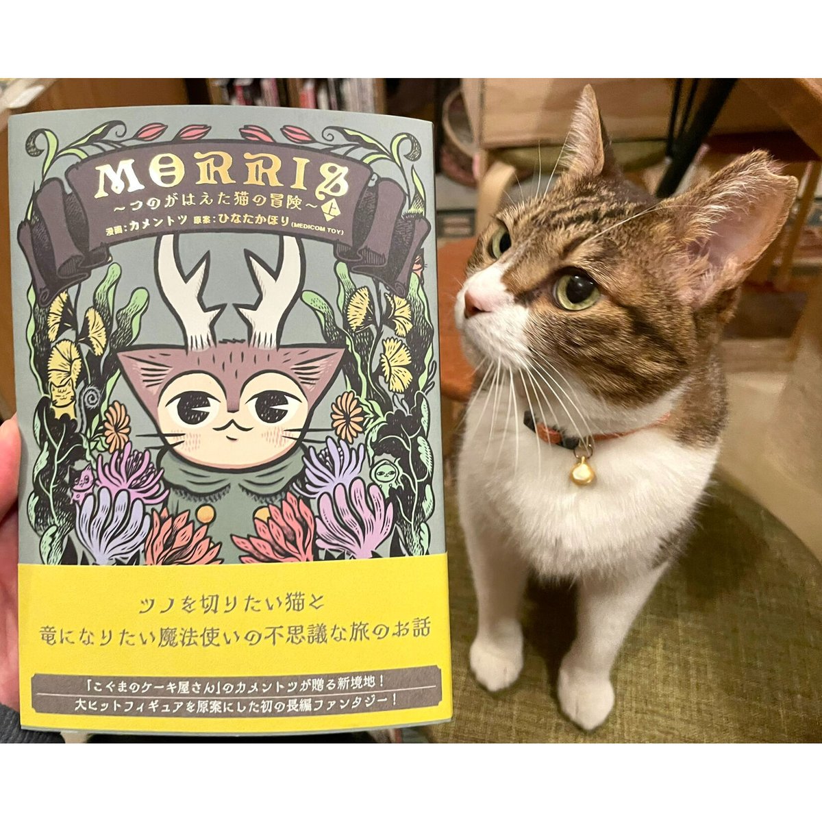 ひなたかほり MORRIS モリス つのねこ 原宿キディランド限定