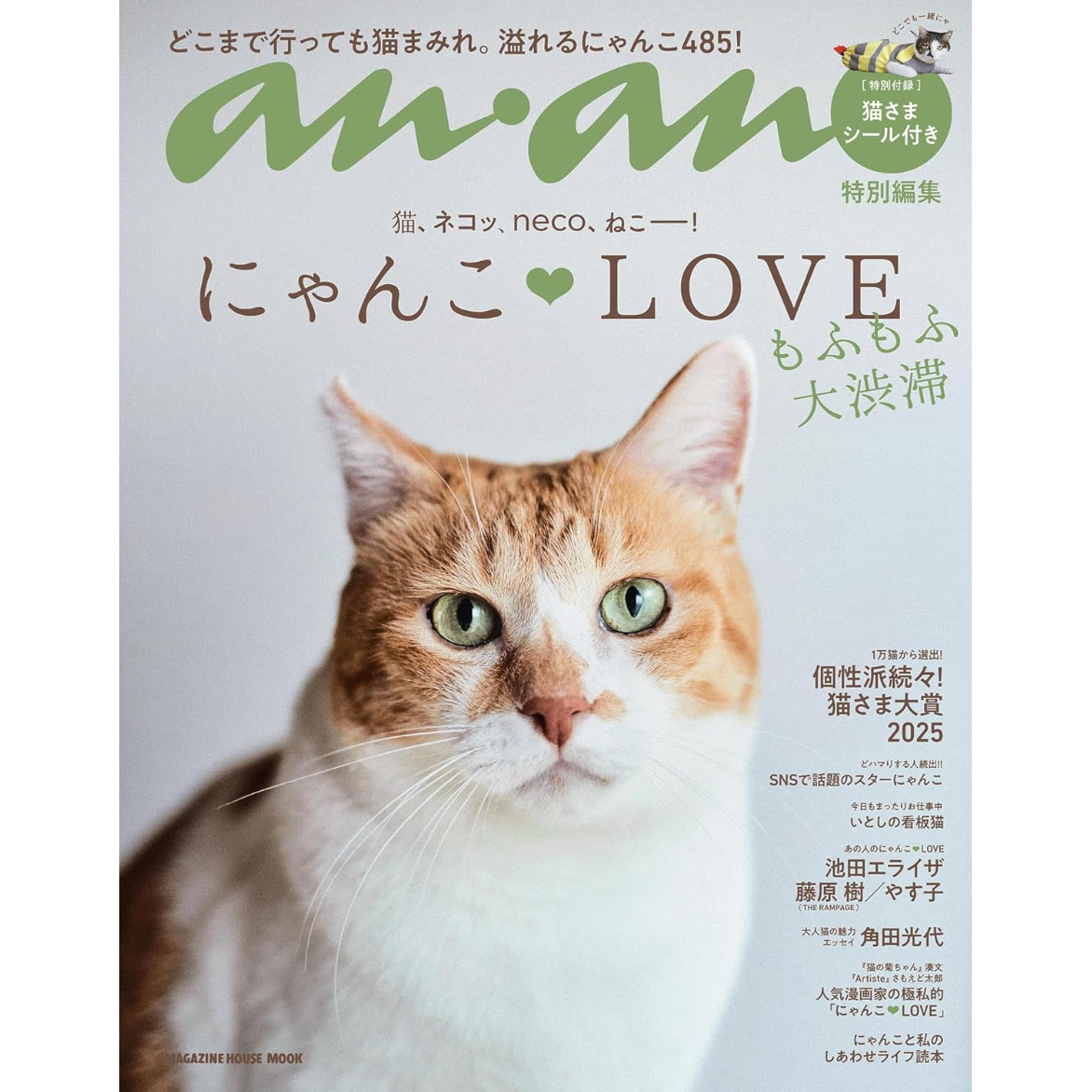 anan特別編集 にゃんこLOVE もふもふ大渋滞 | Cat's Meow Books Vi