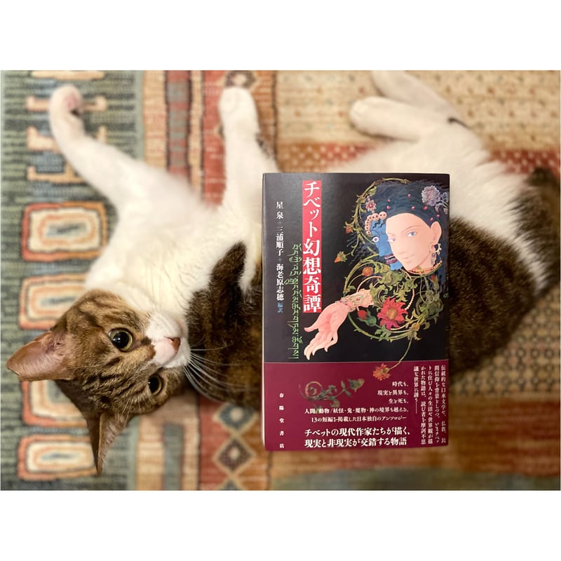 チベット幻想奇譚 | Cat's Meow Books Virtual Shop β